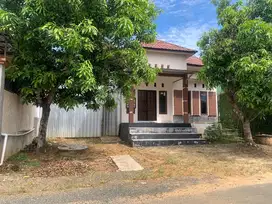 JUAL RUMAH TIPE 45