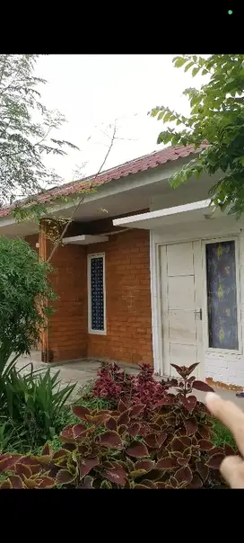 Rumah 1lt modern 300jt an Bangkalan 30 menit dari pusat Surabaya
