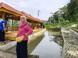 Kavling Sawah SHM diBogor,Jual Cepat Harga Murah Nempel Jalan Provinsi