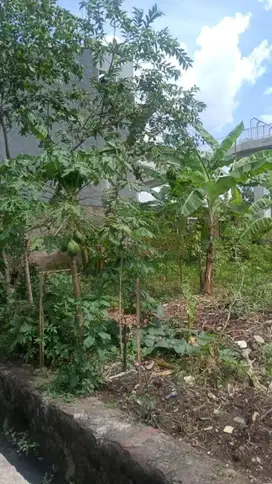 TANAH CIWASTRA BATURADEN HARGA DIBAWAH NJOP
