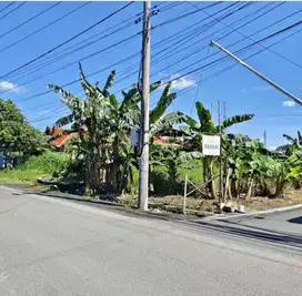 Dijual Tanah di Singopuran di jalan raya PU VETERAN