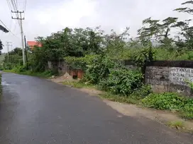 Tanah di Desa Halong, Ambon. Cocok untuk Gudang, Investasi, dan Usaha