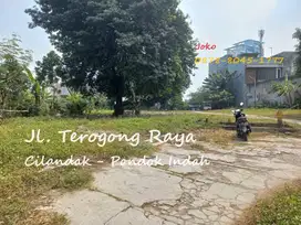 Lahan Istimewa Mura BAWAH NJOP Jl Terogong Raya, Cilandak Pondok Indah