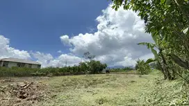 Tanah Lokasi Strategis Untuk Rukost 500 meter ke UIN Kedokteran