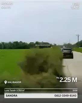 Dijual Tanah Sawah Lokasi Tepi Jalan Raya