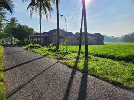 Tanah 500 meter di jalan wates km 10