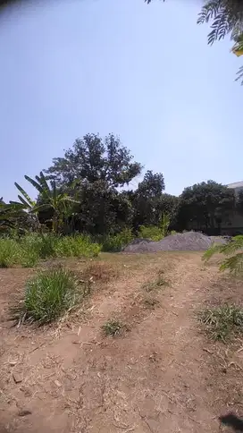 Tanah Tembalang Gondang Undip
