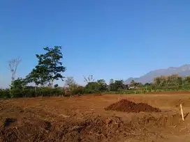 Tanah Sumbersekar, dekat ar rohmah tahfidz malang