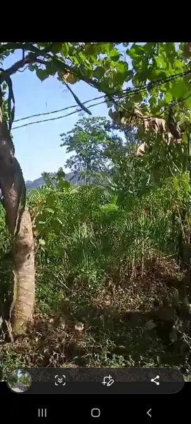 Lahan luas 2000 m2 harga 700 juta di Trawas, Mojokerto