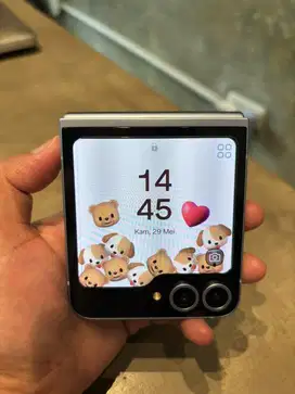 Samsung Z Flip 6