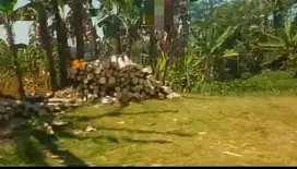 Dijual Tanah Murah dan Strategis Untuk Perumahan Boja Semarang