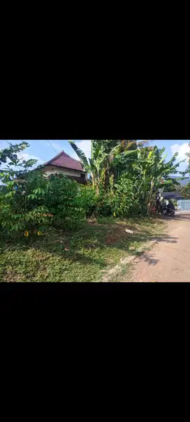 tanah 315m2 hrg 2.7jt/mtr cck utk kos dkt unpad jatinangor