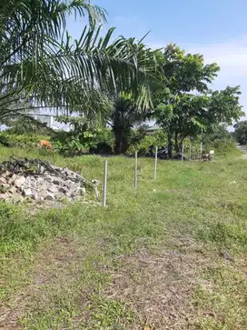 Tanah tengah kota daerah Arengka 1 dekat Citra Land