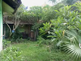 Dijual Tanah Lokasi Strategis di Jl. Taman Giri - Benoa.