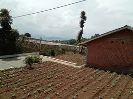 tanah datar pinggir jalan view bagus