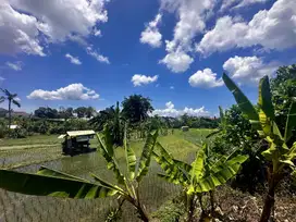 Exclusive 13 Are Land for Sale in the Heart of Umalas, Bali