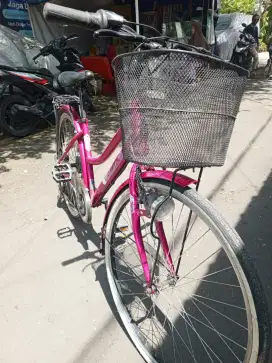 SEPEDA EXOTIC ET 5503 26 INCH HOT PINK SHIMANO 7 SPEED