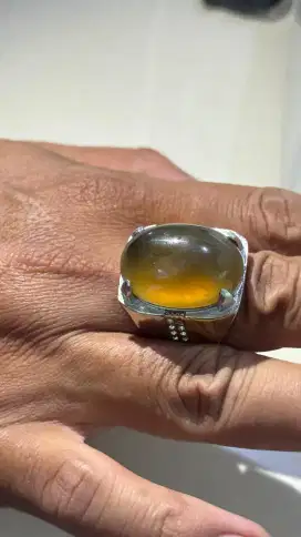 Giok solar jumbo