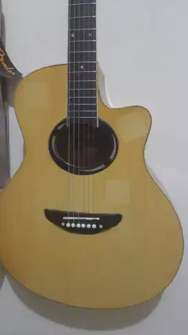 gitar akustik apx500