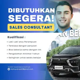 Loker Sales Consultant