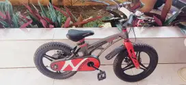Sepeda Anak Bagus Jual Cepat