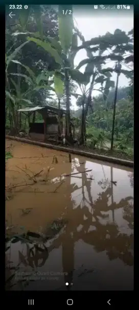 Dijual empang dan lahan