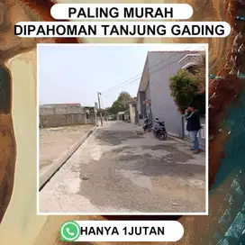 TANAH PAHOMAN LOKASI DEKAT SEKLOAH POPULER BANDAR LAMPUNG