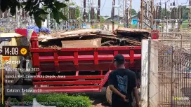 sampah daun jasa buang sampah tenang pohon