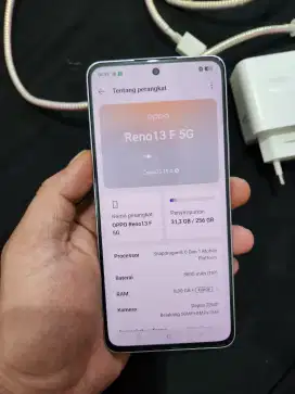 Oppo Reno 13 f 5g 8/256