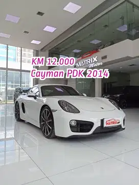 Porsche Cayman PDK 2014 nik 2014