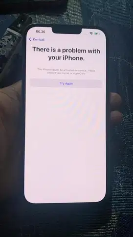 Iphone 13 Promax 256gb stuck on regis