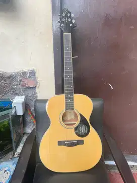 Gitar Akustik Elektrik Sammick GregBennet dan Giat Elektrik Difergio