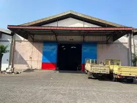 Gudang Margomulyo Permai Surabaya Murah SAM.YA5001
