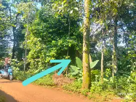 Tanah Kebun 200m² Jonggol,  Cileungsi Bogor timur