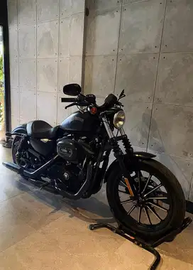 2015 Harley Davidson Sportster Iron 883