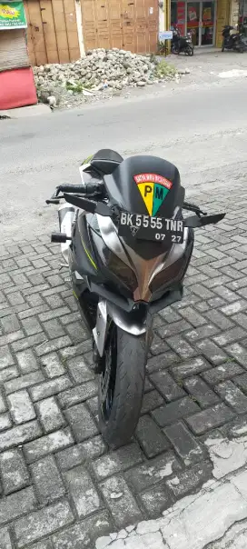 KAWASAKI ninja 250 warrior Ss Edition
