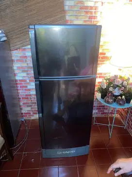 Kulkas sharp 2 pintu