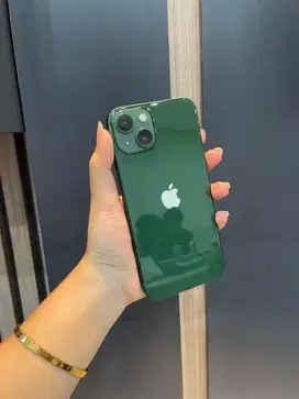 13 256 green beacukai