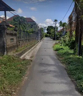 Tanah Luas 735 M² Di Jalan Sekar Tunjung Denpasar