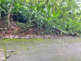 Tanah Murah 4800m 600Jt Timur Kecamatan Kerjo
