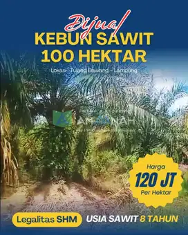 TANAH KEBUN SAWIT UMUT 8TH LUAS 100HA SHM DIJUAL MURAH