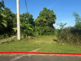 Land With River and Forest View in Pengeragoan, Pekutatan, Jembrana