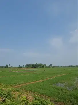 WTS Lahan Kavling Tanah Pinggir Jalan Raya Di Cikande Serang Banten