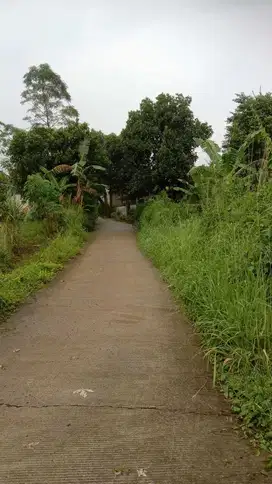 Di Jual Tanah Dekat Pariwisata Gunung Kapur Di Gunung Sindur