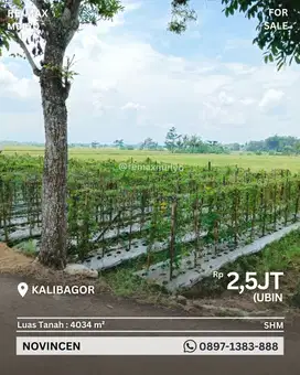 Dijual Lahan Pertanian Area Kalibagor
