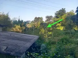 Tanah di Desa Pasir Angin, Megamendung