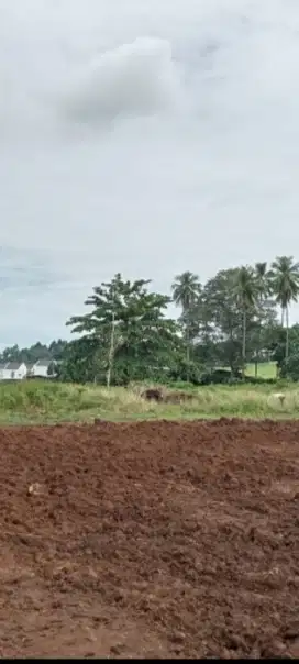 Tanah SHM Jl. Sawangan Kamangta manado
