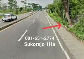 Tanah di Sukorejo Pandaan