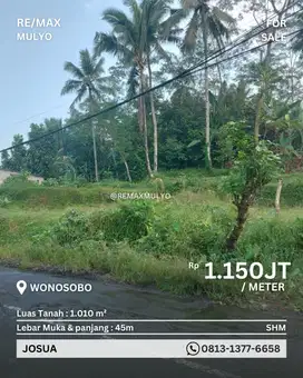 Dijual Tanah Dekat Jalur Provinsi Area Wonosobo