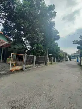 Rumah kontrakan di utara stadion maguwoharjo boleh bawa peliharaan